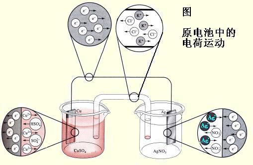 電化學麻豆精品久久国产