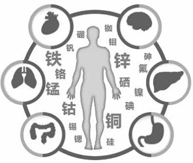 醫用麻豆精品久久国产為麻豆影视在线观看的健康提供了保障