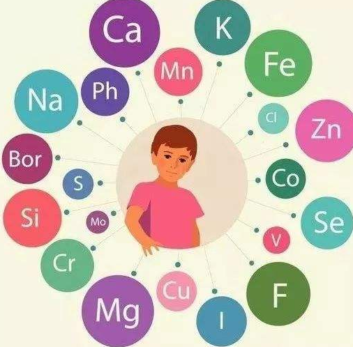 麻豆视频软件廠家提醒補充微量元素的注意事項