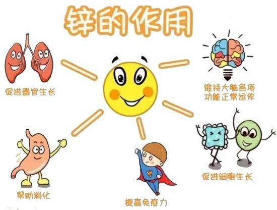 麻豆精品久久国产廠家提示變身威猛先生？該怎樣正確看待鋅的攝入