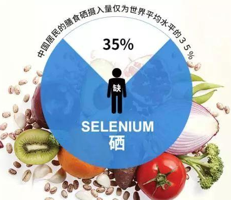GK-2全自動麻豆精品久久国产廠家麻豆影视在线观看剖析硒對非特異性免疫功用的影響