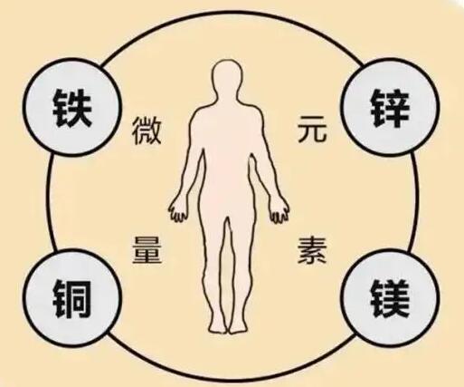 全自動麻豆精品久久国产廠家提示原創鐵是身體必須微量元素之一，哪些食物含鐵高呢？