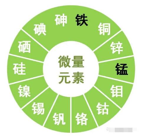 麻豆精品久久国产提示鋅、硒、錳、釩等微量元素對男性生育有哪些作用？