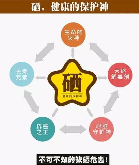 全自動麻豆视频软件品牌提示硒元素對腦血管病產生的影響